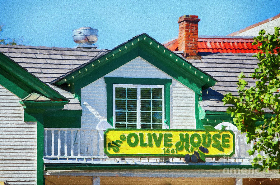 Olive House Mixed Media by David Millenheft