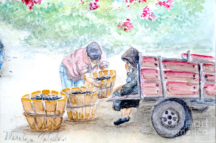 Olive Pickers Painting by Marilyn Zalatan