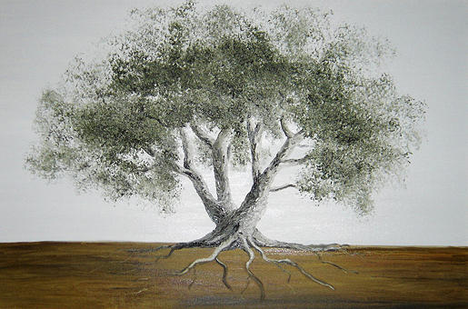 greek olive tree drawing