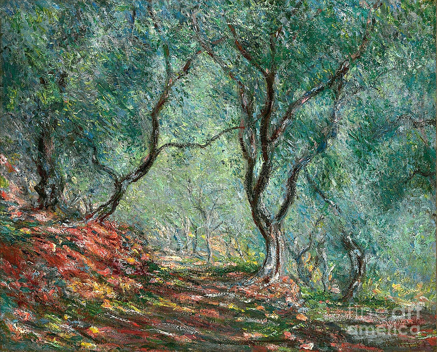 Olive tree wood in the moreno garden Painting by Celestial Images