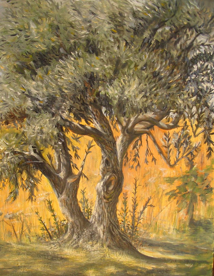 Olive Tree Painting by Yvonne Ayoub