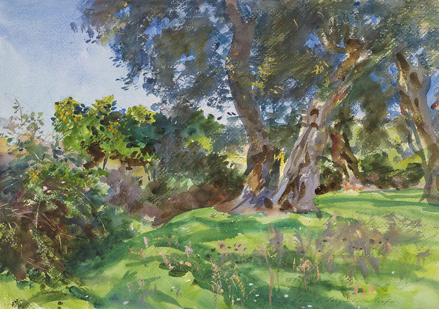 Greek Painting - Olive Trees, Corfu by John Singer Sargent
