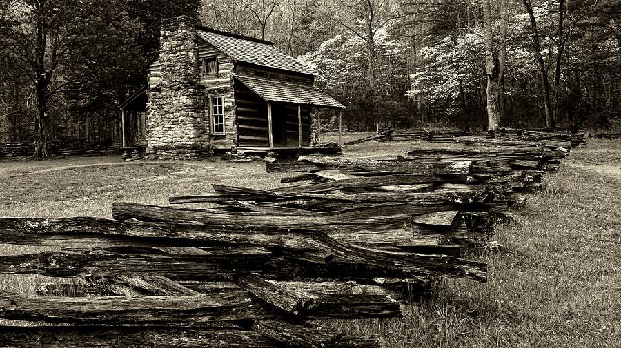Oliver Cabin Among The Dogwood Of The Great Smoky Mountains National Park II In Sepia Photograph by Carol Montoya
