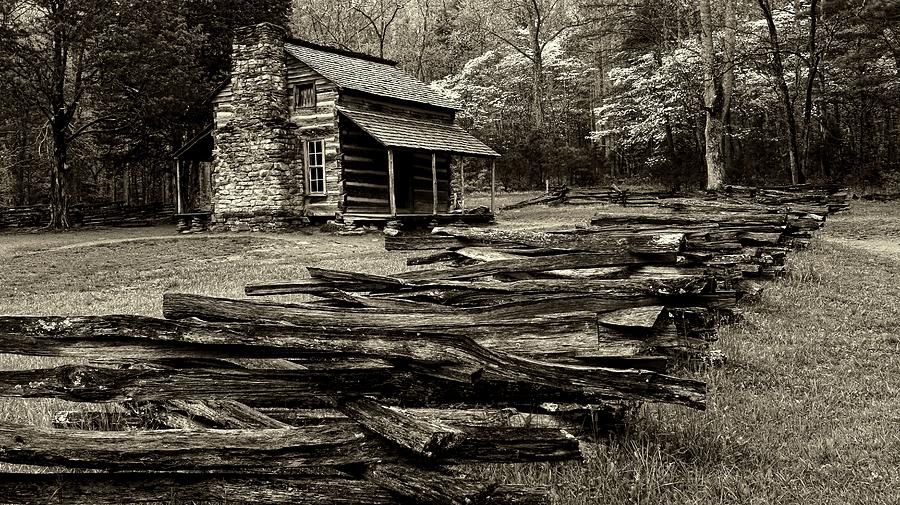 Oliver Cabin Among The Dogwood Of The Great Smoky Mountains