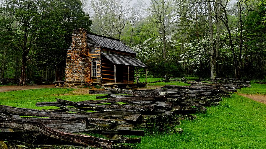 Olivers Cabin Among The Dogwood Of The Great Smoky Mountains National Park Photograph by Carol Montoya