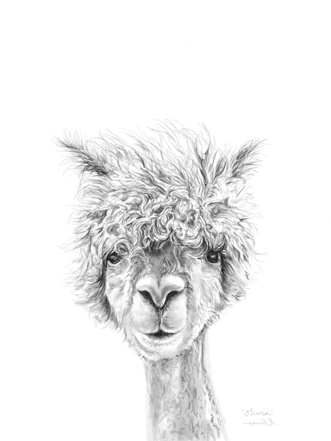 Llama Drawing - Olivia by Kristin Llamas
