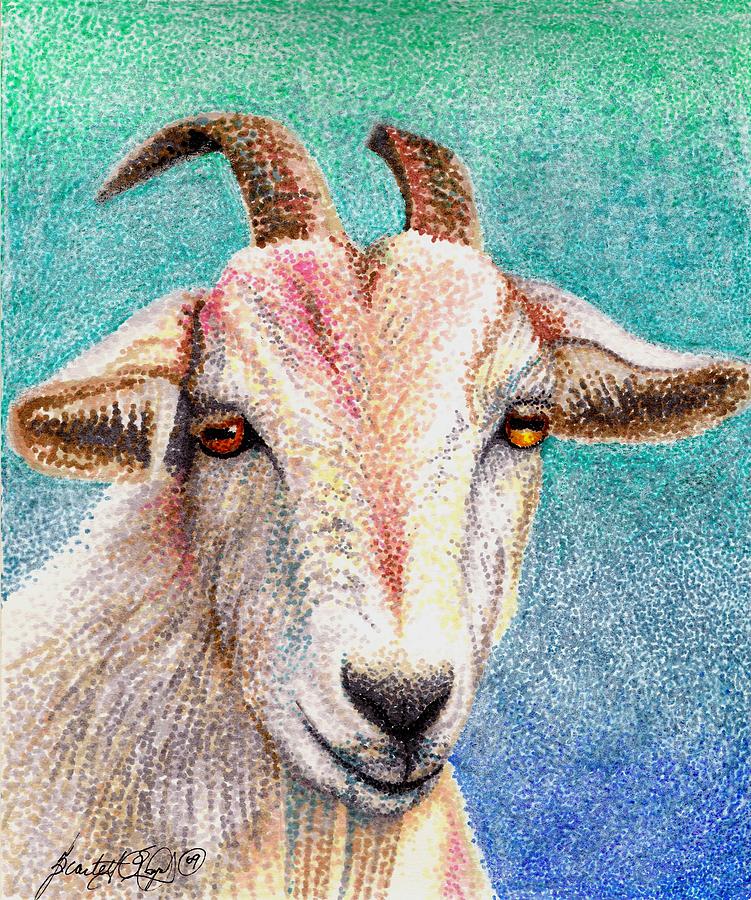 Olivia the Goat Drawing by Scarlett Royale