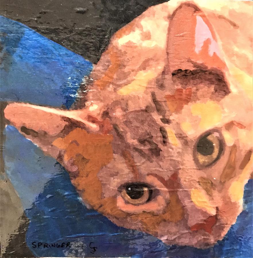 Cat Painting - Ollie by Gary Springer