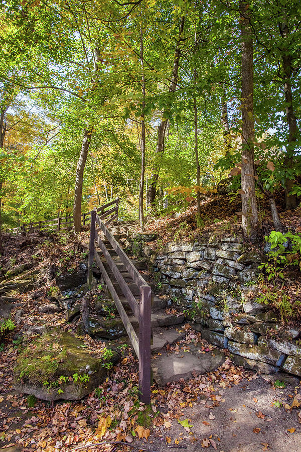Olmsted Falls Staircase Photograph by Lon Dittrick