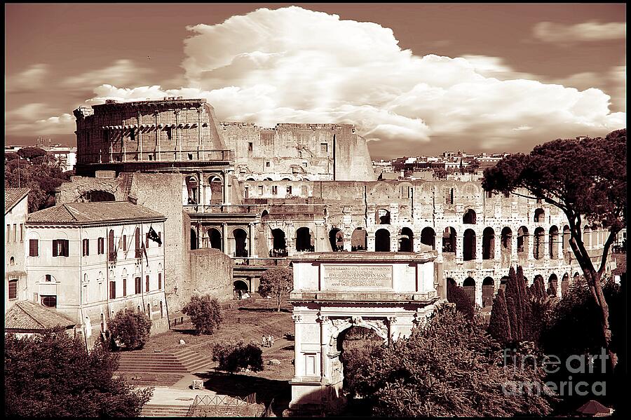 Colosseum from Roman Forums  Photograph by Stefano Senise