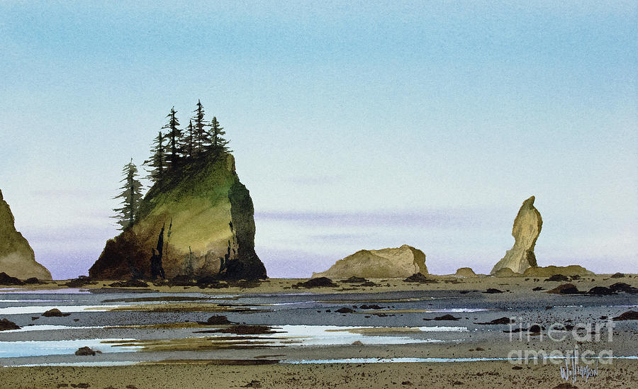 Olympic Coast Low Tide Painting by James Williamson