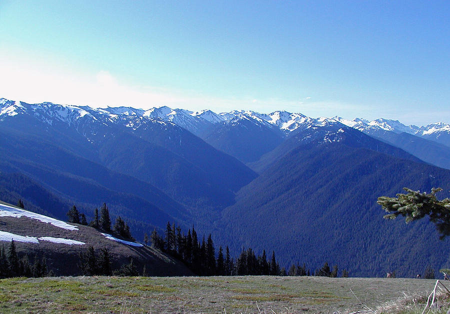 Olympic Mountain Range Photograph by Forrest Shaw