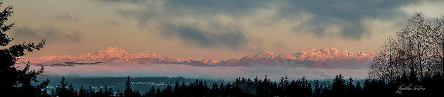 Olympic Mountains at Dawn.1 Photograph by E Faithe Lester