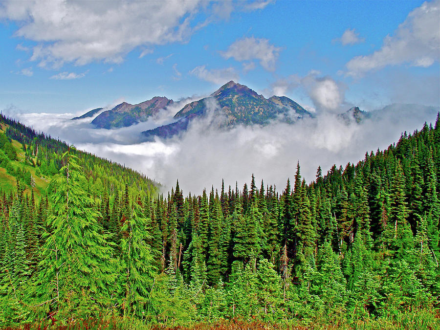 Olympic Mountains In The Clouds From Hurricane Hill Trail Olympic