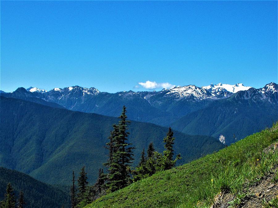 Olympic National Park Photograph by Kelly Hall - Fine Art America