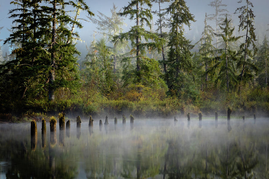 Olympic Peninsula Photograph by Gary Migues