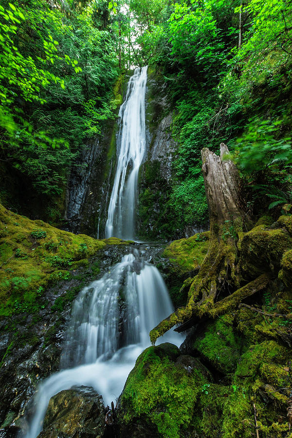 Olympic Peninsula Waterfall Photograph by Ben Ford - Pixels