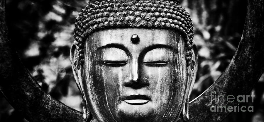 Buddha Photograph - OM Shanti by Tim Gainey