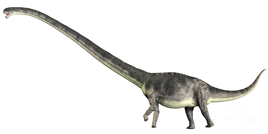 omeisaurus