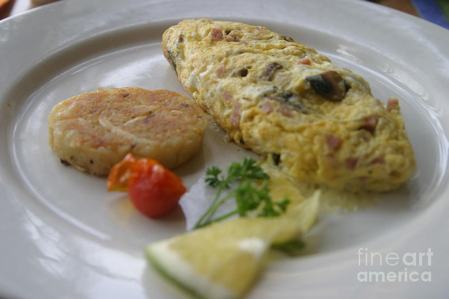 Omelet Mexico  Photograph by Chuck Kuhn