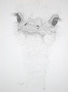 Limited Edition Drawing - Omelette Queen by Joanie Arvin Limited Edition Drawing - Omelette Queen by Joanie Arvin