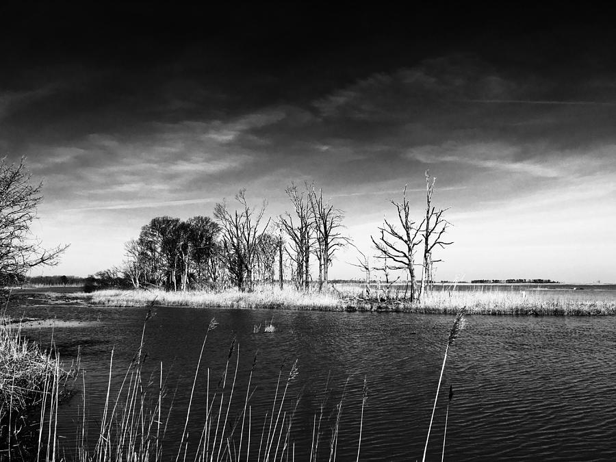 Ominous Island at Primehook Photograph by Shawn M Greener - Fine Art ...