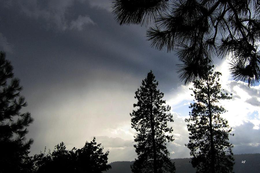 Tree Photograph - Ominous Sky by Will Borden