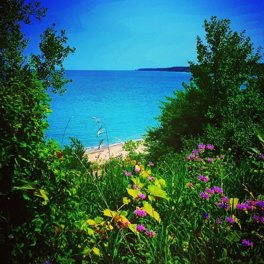 Flower Photograph - On A Bluff Overlooking Lake Michigan by Kate Reiner