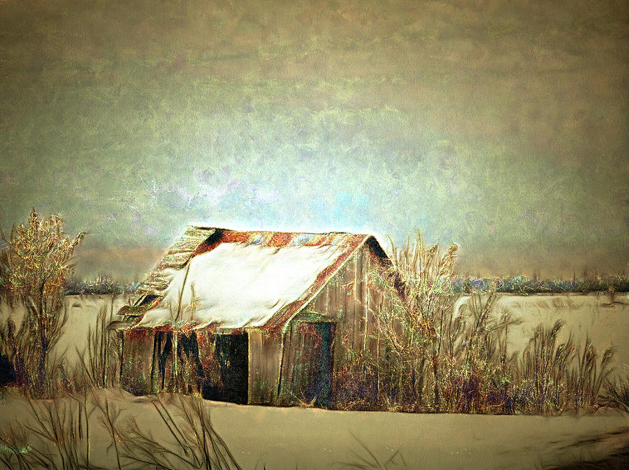 On A Cold Winters Day Digital Art by Leslie Montgomery