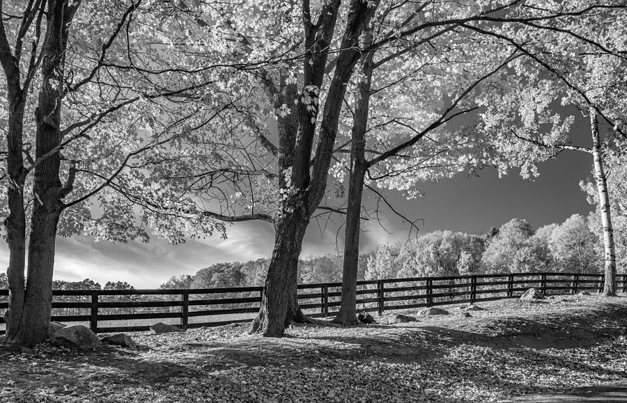 Fall Photograph - On a Country Road 3 bw by Steve Harrington