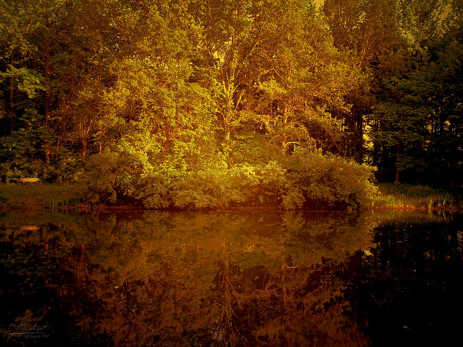 Magic Photograph - On A Golden Pond by Theresa Campbell