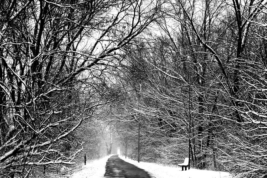 On a Snowy Morning in Spring Photograph by Karen Majkrzak - Fine Art ...