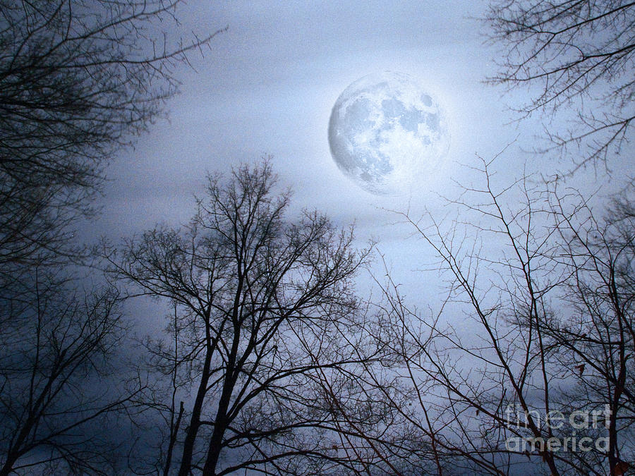 On A Stormy Moonlit Night Photograph by Dorothy Lee