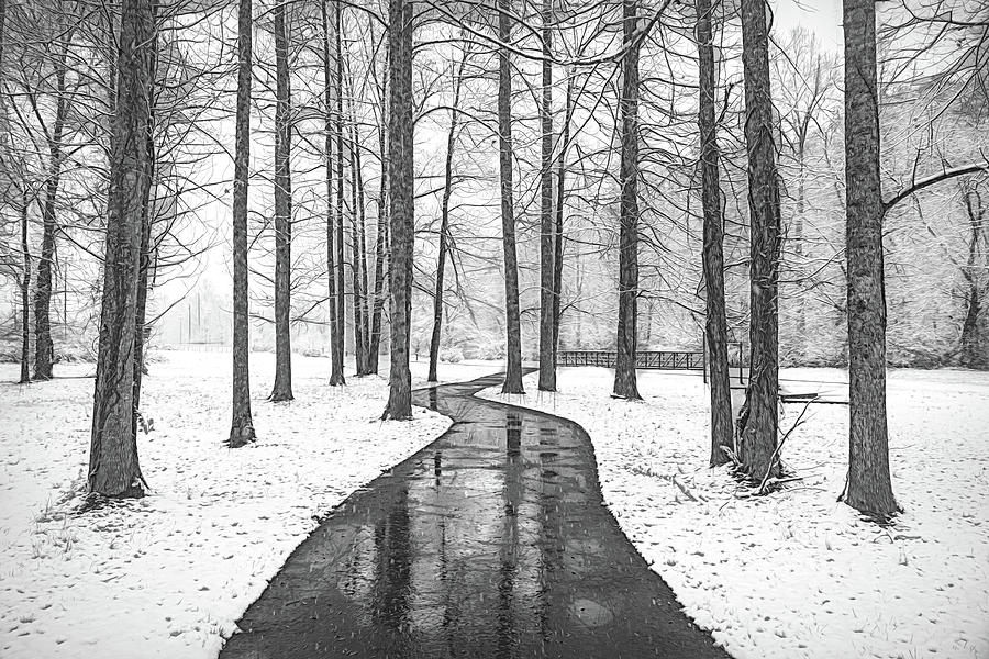 On a Winters Day in Black and White Photograph by Debra and Dave Vanderlaan