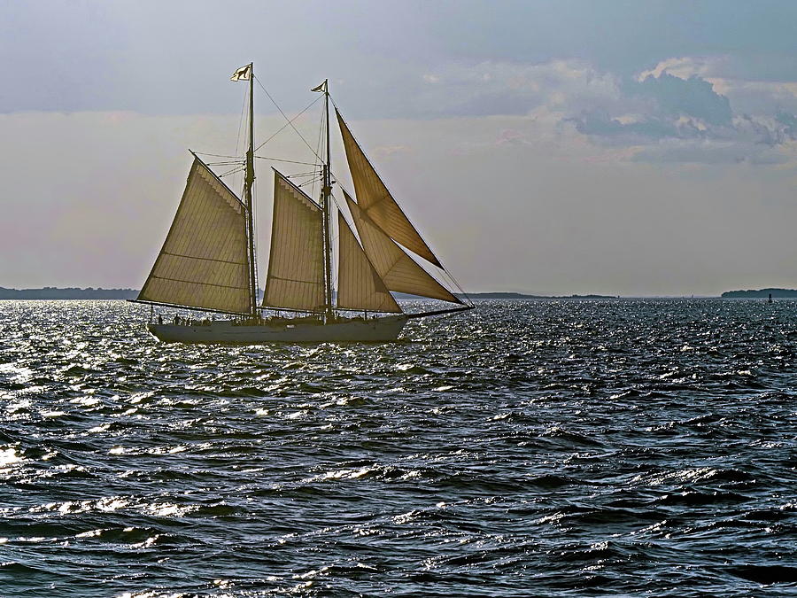 On All Sails Photograph by Lyuba Filatova