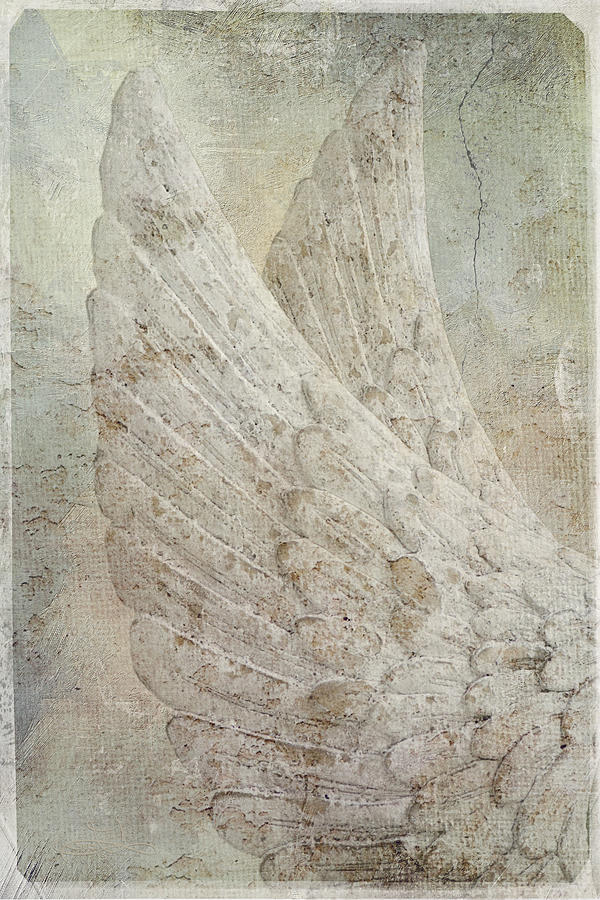On Angels Wings 2 Photograph
