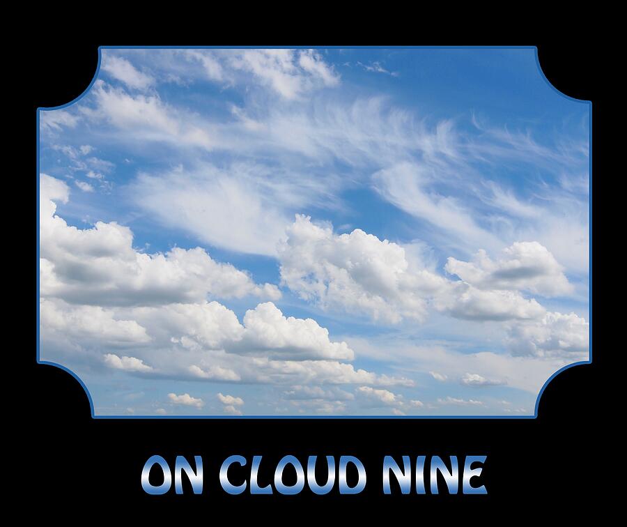 On Cloud Nine - Black Photograph by Gill Billington