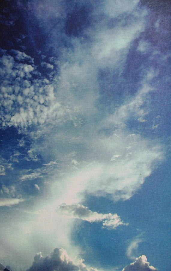 On Cloud Nine Photograph by M Diane Bonaparte