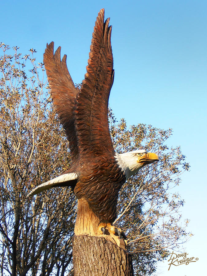 On Eagles Wings II Photograph