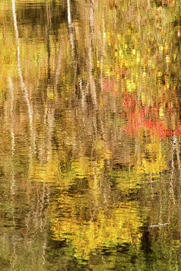 On Golden Pond Photograph by Jurgen Lorenzen