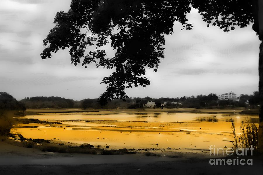 On Golden Pond Photograph by Marcia Lee Jones