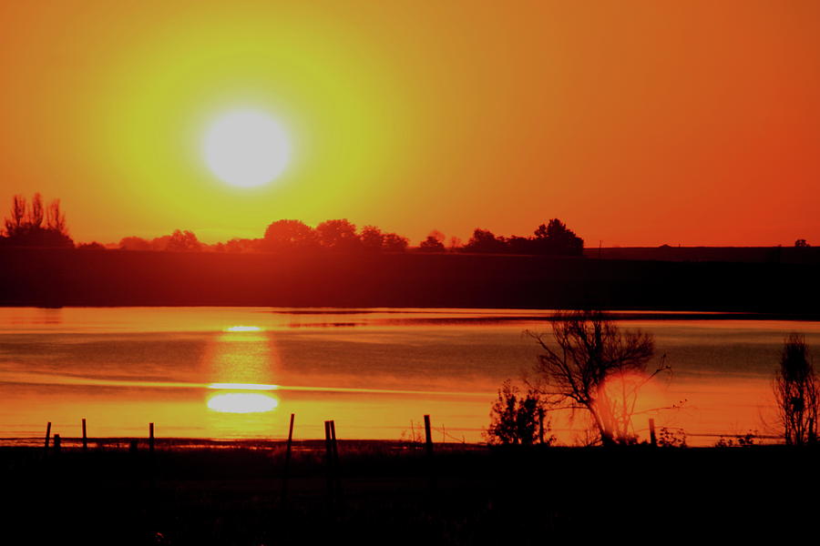 Sunset Photograph - On Golden Pond by Trent Mallett