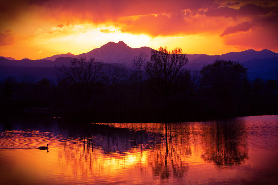 On Golden Ponds Sunset Photograph by James BO Insogna