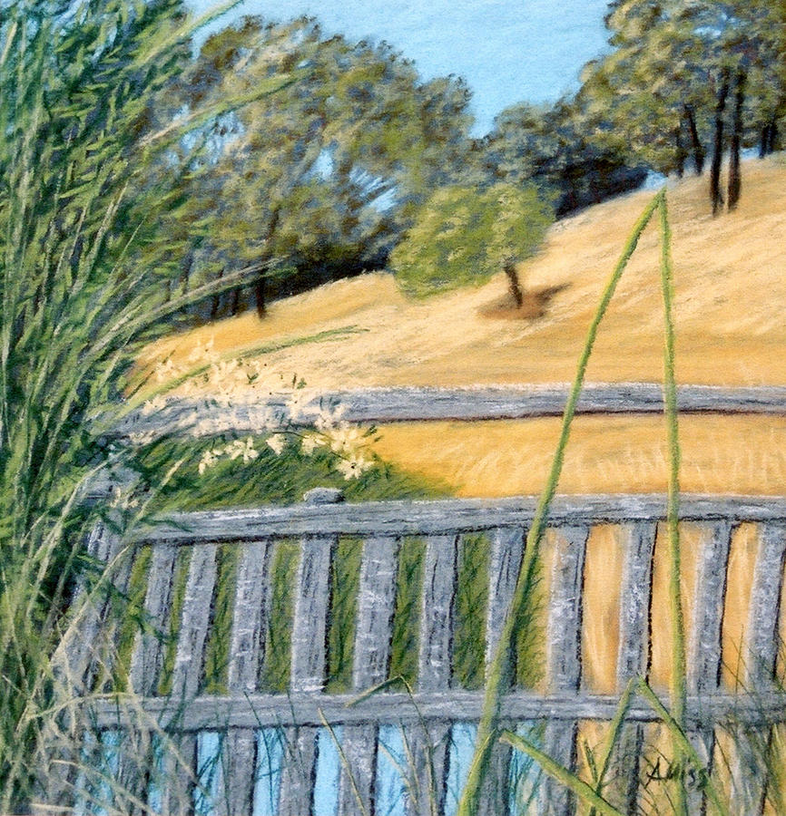 On Green Valley Road Pastel by Jan Amiss Photography