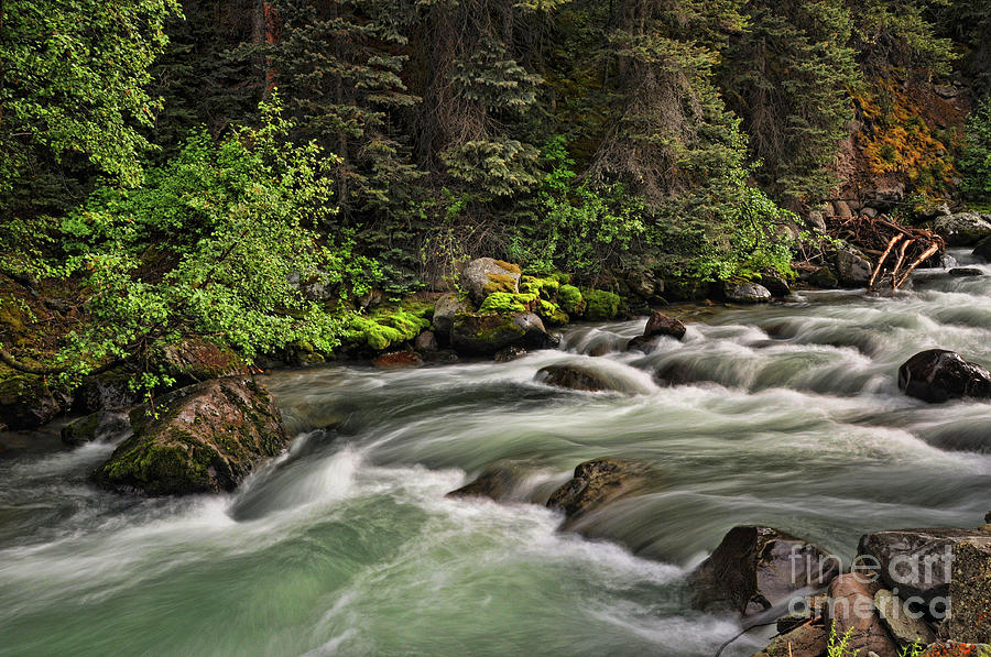 Creek Photograph - On Henson Creek by Randy Rogers