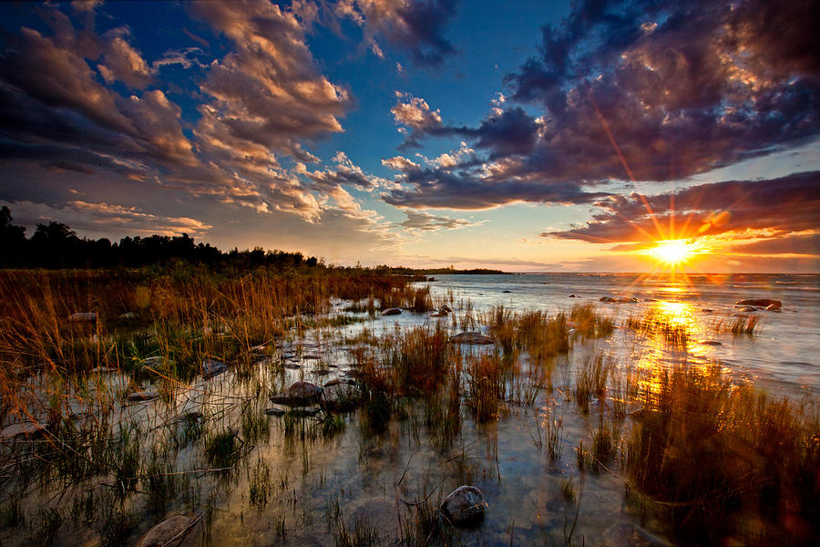 Lake Michigan Photograph - On Lake Michigans Shore by Dan Holmes