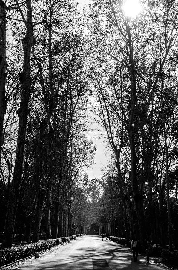 On my way - BlackAndWhite Landscape Photograph by AM FineArtPrints