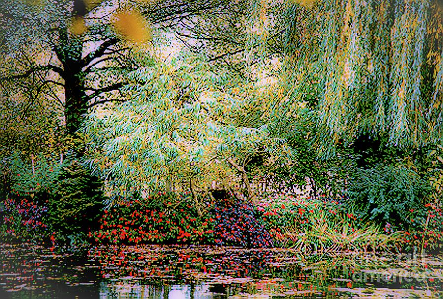 Claude Monet Photograph - Reflection on, Oscar - Claude Monets Garden Pond #2 by D Davila