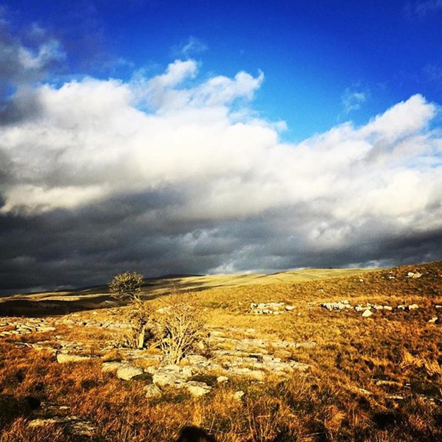 Nature Photograph - On Our Hike Yesterday In The Dales Up by Rebecca Bromwich