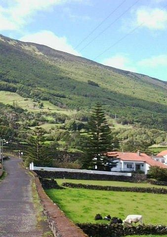 On Pico Island, Azores Photograph by Julia Woodman